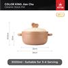 Picture of JIANCHU SERIES | COLOR KING 3000ml STOCK POT (3850-3000)