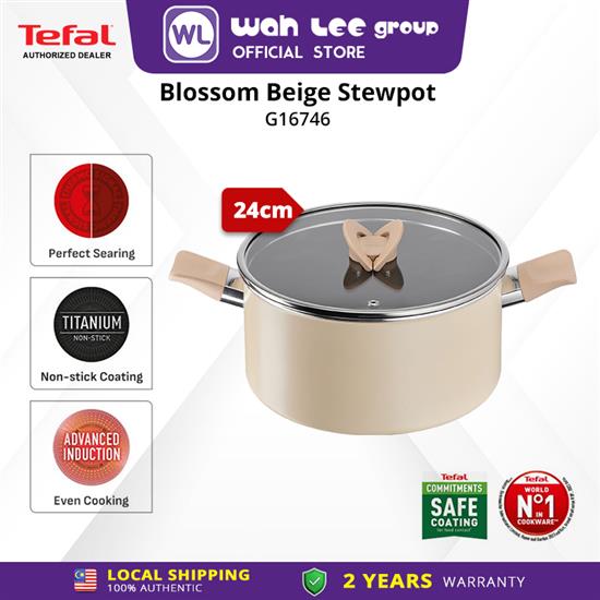 Picture of TEFAL COOKWARE BLOSSOM STEWPOT 24CM G16746 (INDUCTION BASE)