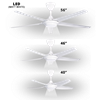 Picture of ALPHA COSA CEILING FAN GX5 (40" , 46" , 56")