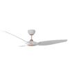 Picture of RUBINE CEILING FAN RCF-OSTRO60-3B (DC) 60''