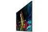Picture of SAMSUNG QBB QUANTUM PROCESSOR 4K SIGNAGE TV QB43C (43")