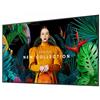Picture of SAMSUNG Crystal UHD Signage QBC (55")
