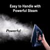 Picture of PANA STEAM IRON NI-U800ASK